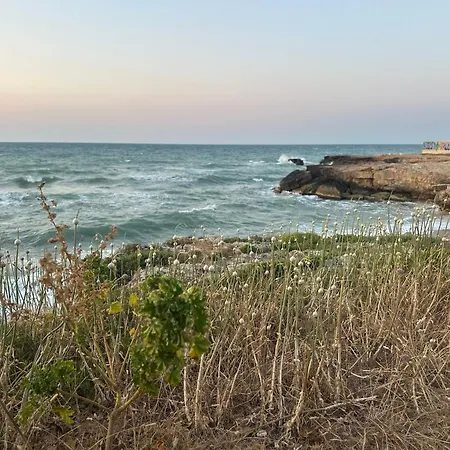 Villa Antonia Sul Mare Con Piscina Torre A Mare